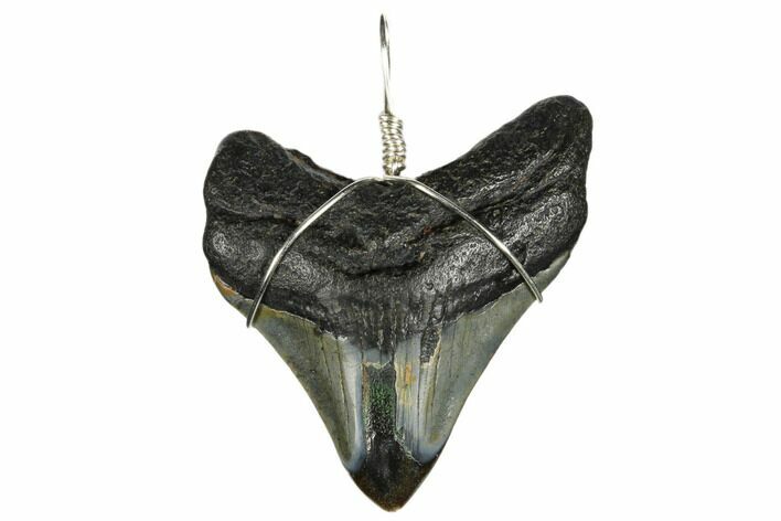 Fossil Megalodon Tooth Necklace #173831